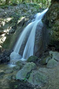 Scenic view of waterfall in forest