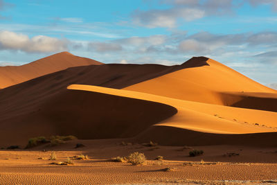 Sand dunes in a desert