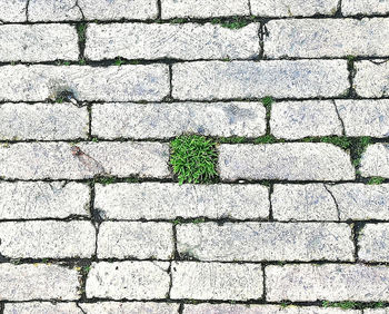 High angle view of stone wall