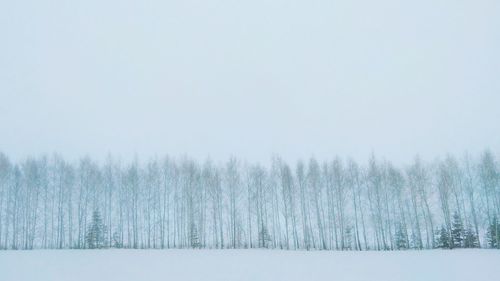 Trees on snow covered field against sky