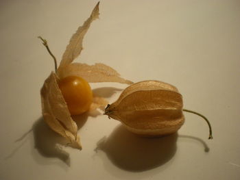 Close-up of fruit against white background