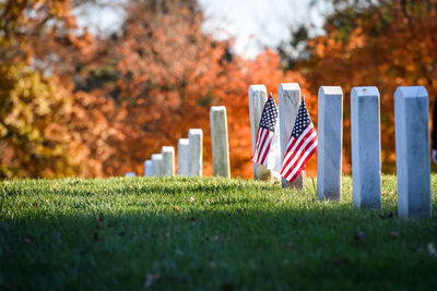 Row of flags against plants at park