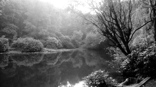 Scenic view of lake by trees against sky