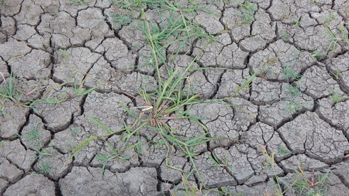 Full frame shot of cracked land