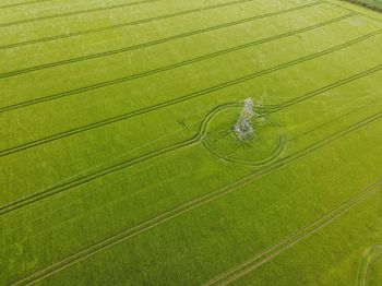 High angle view of leaf on field