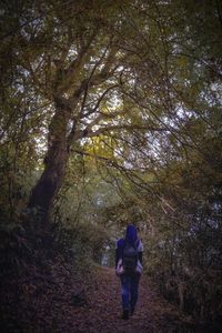 Rear view of people walking on street amidst trees in forest