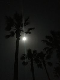 Low angle view of silhouette palm trees against sky at night