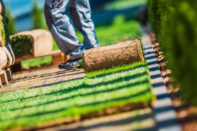 Low section of man working on agricultural field