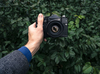 Cropped hand holding camera against plants