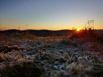 Surface level of grass on field against sky during sunset