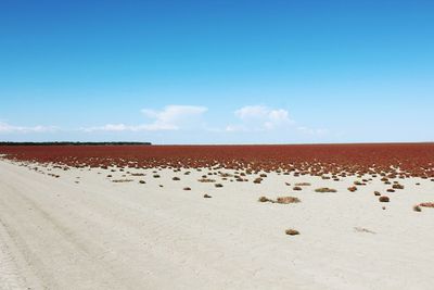 Scenic view of desert against sky