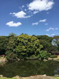 Plants by lake against sky