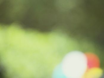 Close-up of multi colored ball