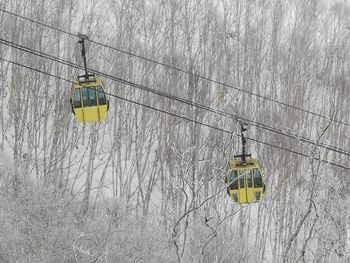 Overhead cable car on snow covered landscape