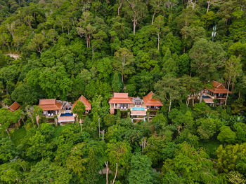 High angle view of trees and houses