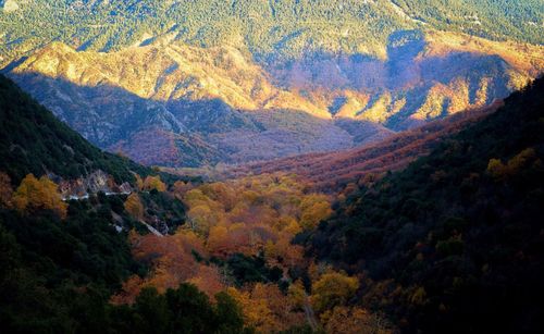 Scenic view of tree mountains during autumn