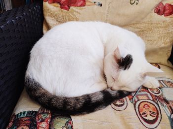 Close-up of cat sleeping on bed at home