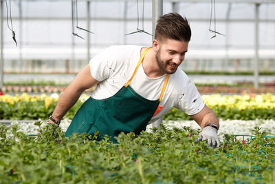 Young man working in greenhouse