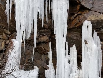 Close-up of icicles on snow