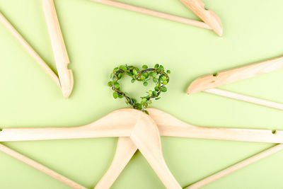 High angle view of green leaves on table