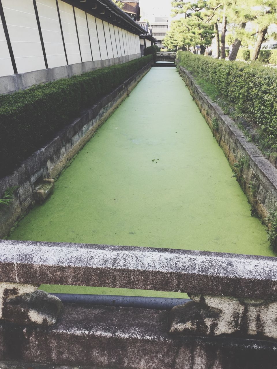 water, built structure, architecture, railing, high angle view, the way forward, sunlight, day, plant, outdoors, bridge - man made structure, nature, steps, diminishing perspective, footpath, no people, green color, park - man made space, pond, growth