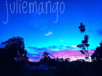 Silhouette trees against blue sky at sunset