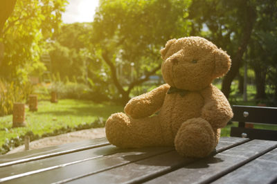 Teddy bear on table in park