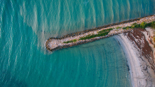 High angle view of crab on beach