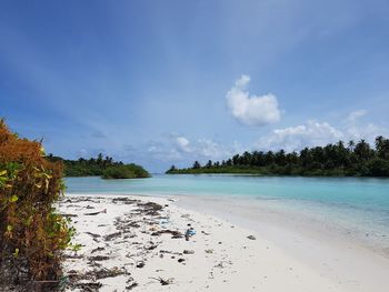 Scenic view of beach against sky