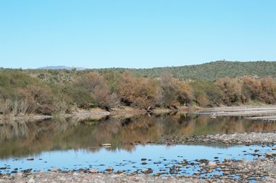 Scenic view of lake against clear blue sky
