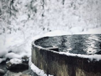 Close-up of frozen tree stump during winter