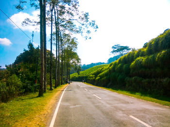 Road amidst trees against sky