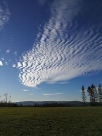 Scenic view of field against sky