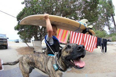 Boy carrying surfboard while walking by dog