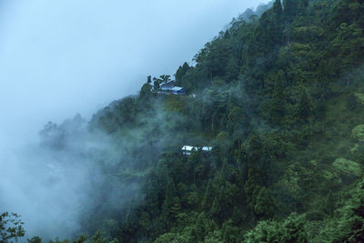 High angle view of trees on mountain