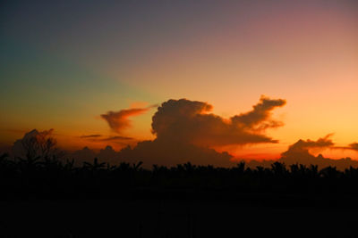 Scenic view of silhouette trees against sky during sunset