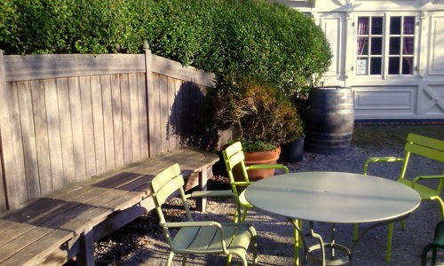 Potted plants in backyard