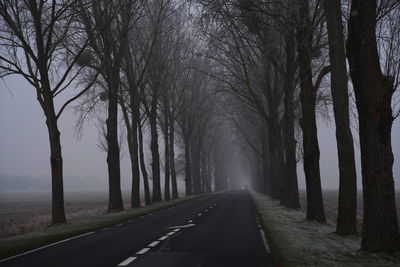 Road amidst bare trees against sky