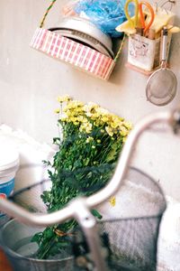 High angle view of potted plant on table