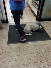 Low section of man with dog on footpath