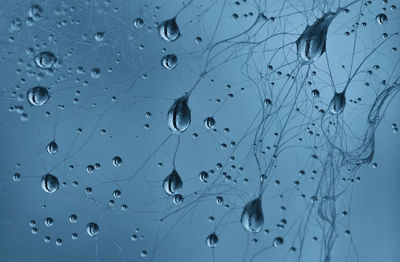 Full frame shot of water makro drops 