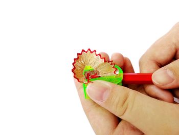 Midsection of person holding bouquet against white background