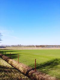 Scenic view of agricultural field against clear blue sky