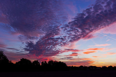 Silhouette trees on field against sky at sunset