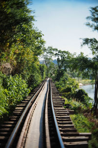 Railroad track amidst trees against sky