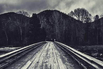 Railroad tracks amidst trees against sky