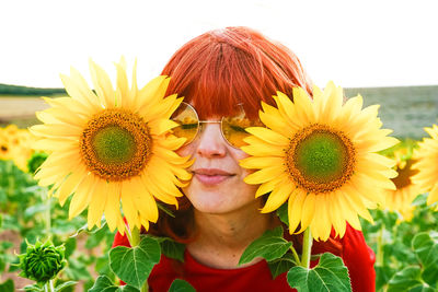 Close-up of sunflower