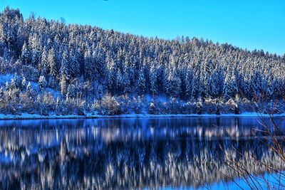 Scenic view of lake against clear sky during winter