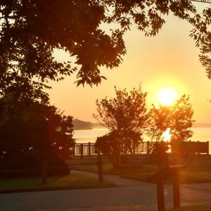 Park bench by trees against sky during sunset