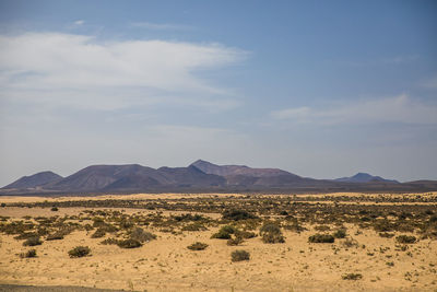 Scenic view of desert against sky